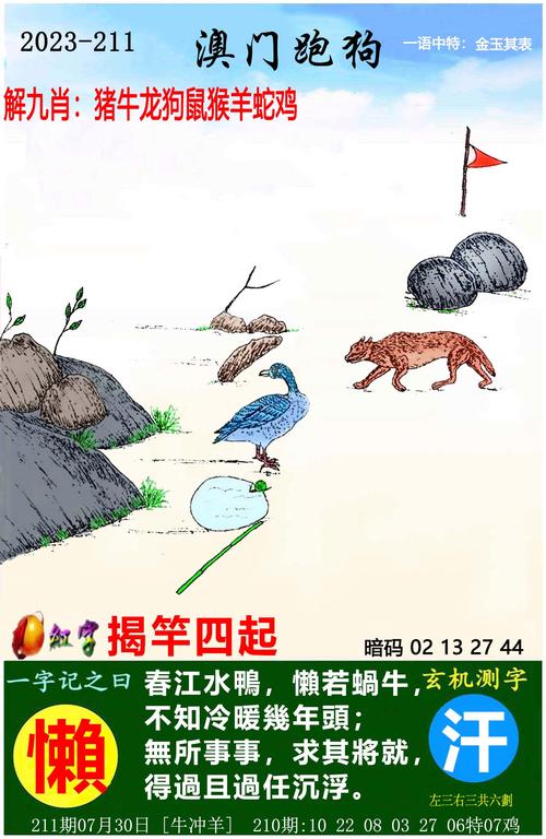 澳门精准单双四肖,设计策略快速解答_整版DKJ656.74
