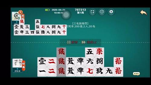 不需要网络的打牌游戏,设计策略快速解答_整版DKJ656.74
