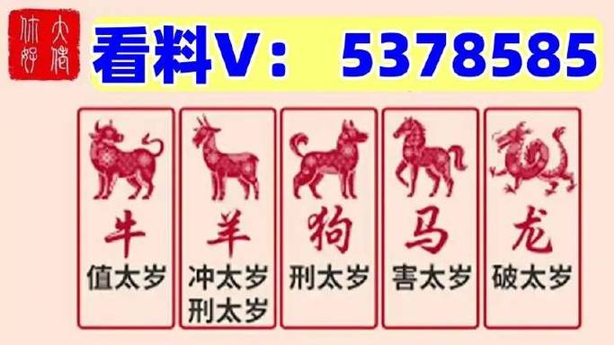 今天澳门特马开什么,设计策略快速解答_VR型43.237