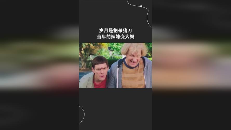 电视剧大放送全集播放免费观看下载第一集,真实经典策略设计_VR型43.237