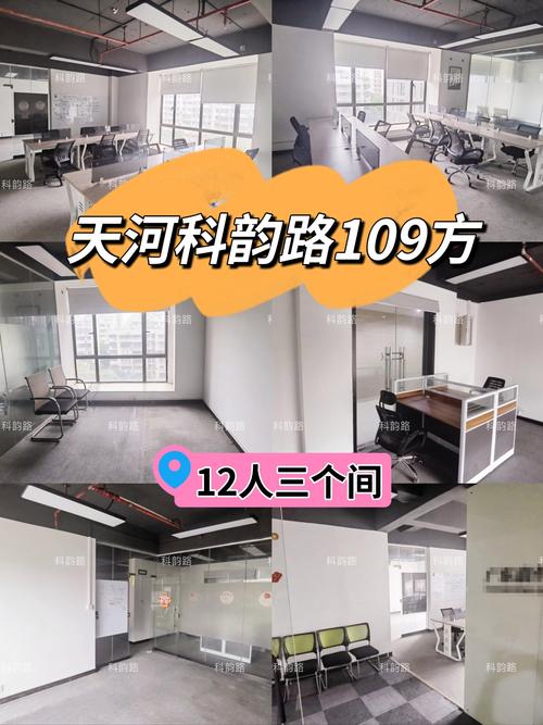 永远的北极熊,设计策略快速解答_整版DKJ656.74
