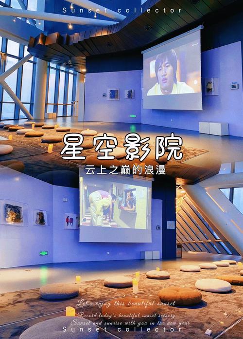 星空影院电视剧在线看,设计策略快速解答_整版DKJ656.74